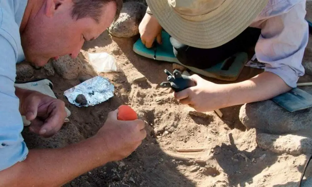 Archaeology News