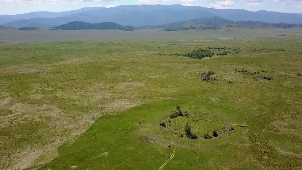 Deep in a swamp in the Russian republic of Tuva, SNSF-funded archaeologist Gino Caspari has discovered an undisturbed Scythian burial mound.