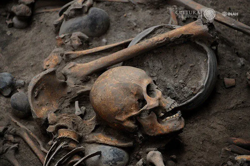 spiral circle of linked human skeletons discovered at pre-aztec burial site in mexico
