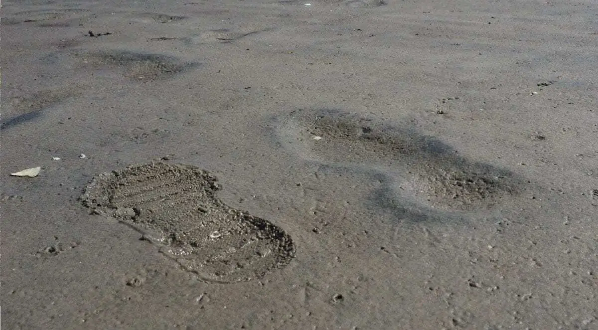 13000-year-old footprints found off Canadian coast