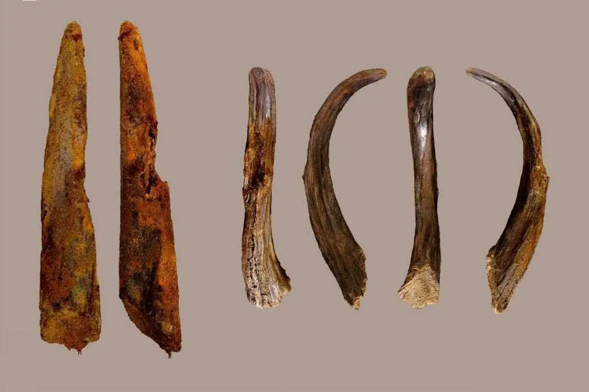 oldest neanderthal wood tools in the iberian peninsula