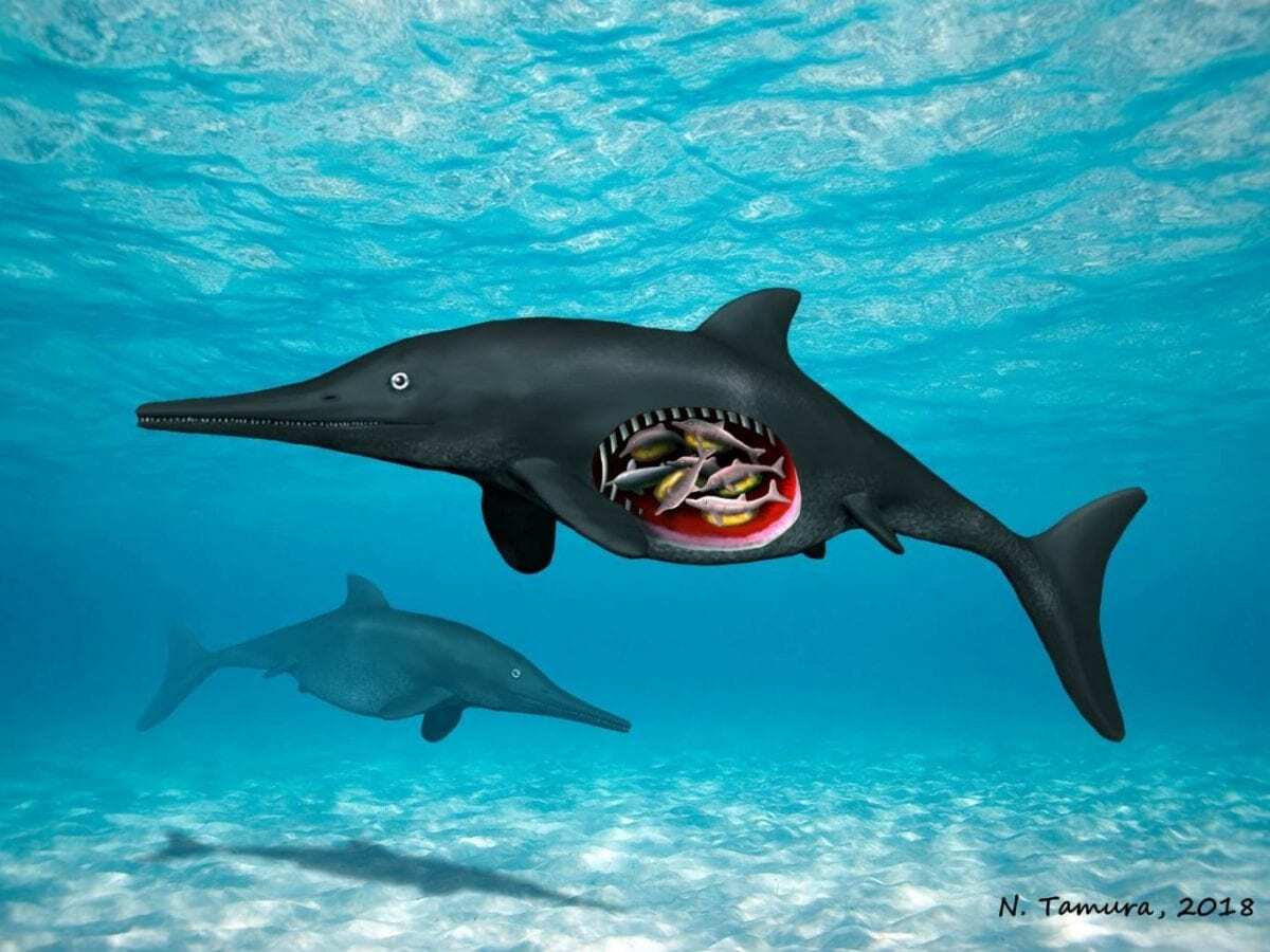 a giant prehistoric reptile of the sea