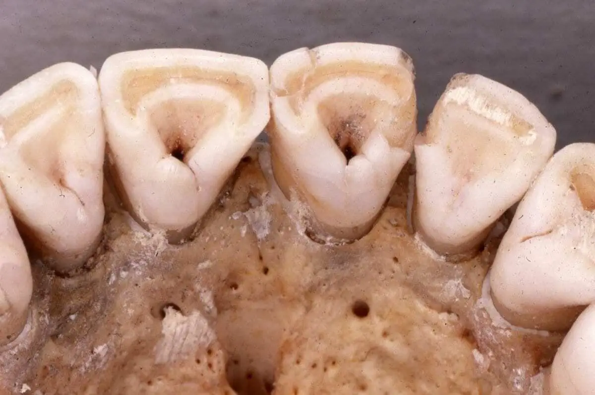 did last ice age affect breastfeeding in native americans?