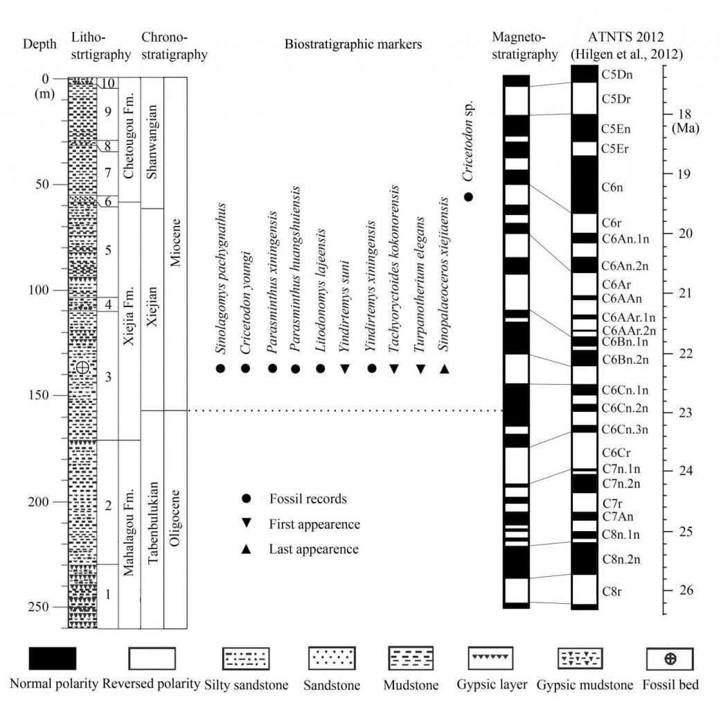 to establish a timescale for more than 10 million years ago