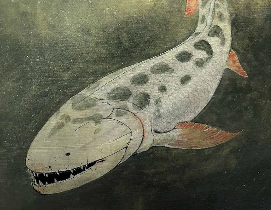 25 years of fossil collecting yields clearest picture of extinct 12-foot aquatic predator