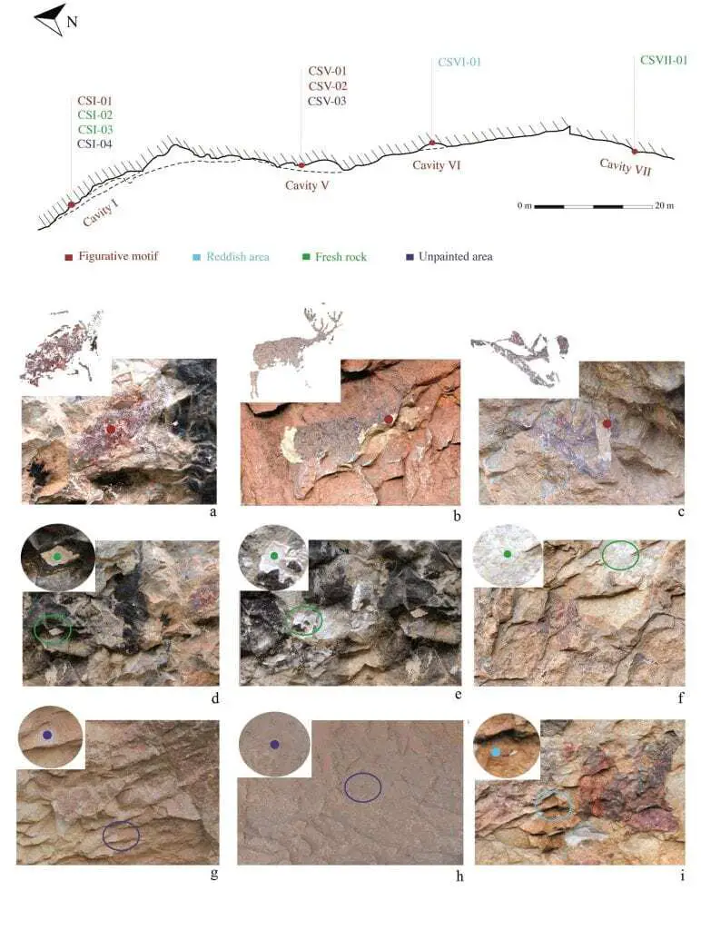 organic components of levantine rock art investigated for the first time with massive dna and protein analysis techniques