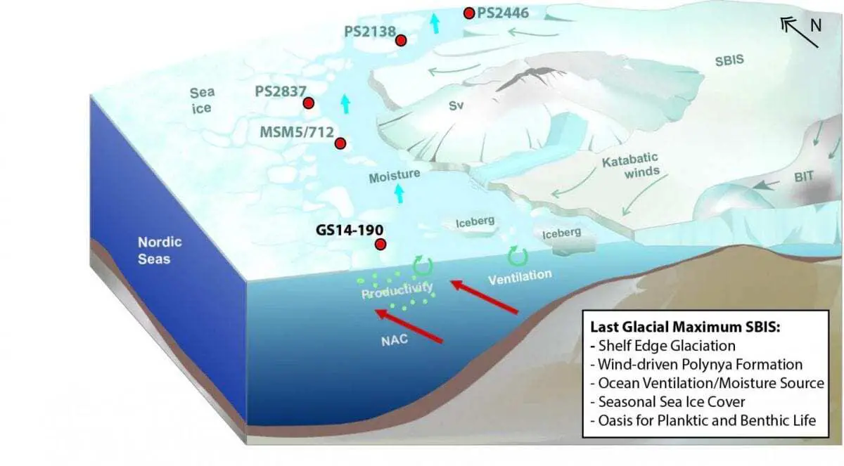 ice-free corridor sustained arctic marine life during last ice age