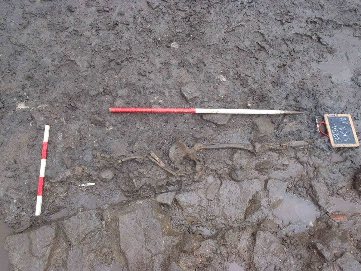 uncovering the house of the blackfriars in stirling
