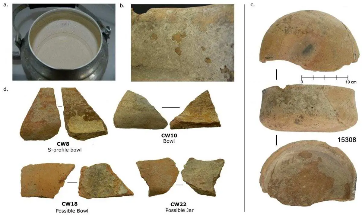 cuisine of early farmers revealed by analysis of proteins in pottery from Çatalhöyük