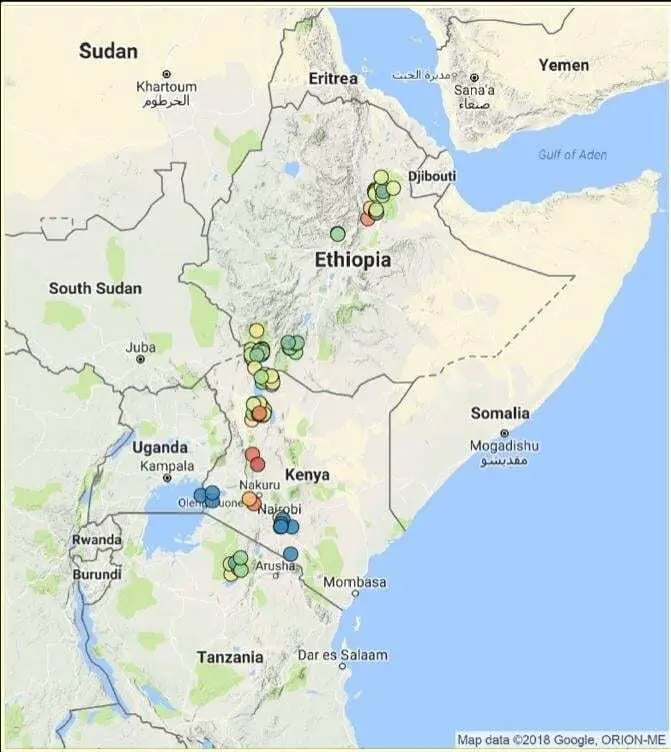 human ancestors not to blame for ancient mammal extinctions in africa
