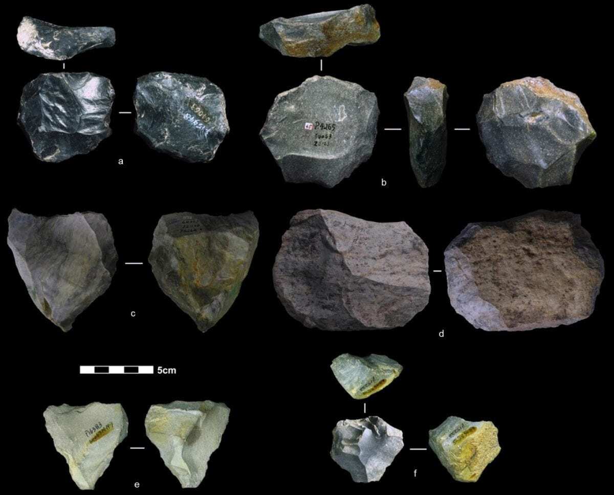 the ‘swiss army knife of prehistoric tools’ found in asia, suggests homegrown technology