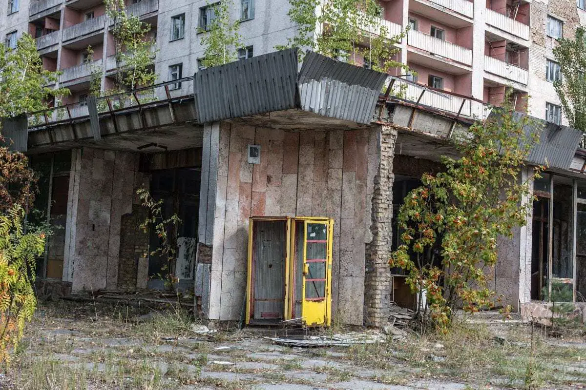 chernobyl has become a refuge for wildlife 33 years after the nuclear accident