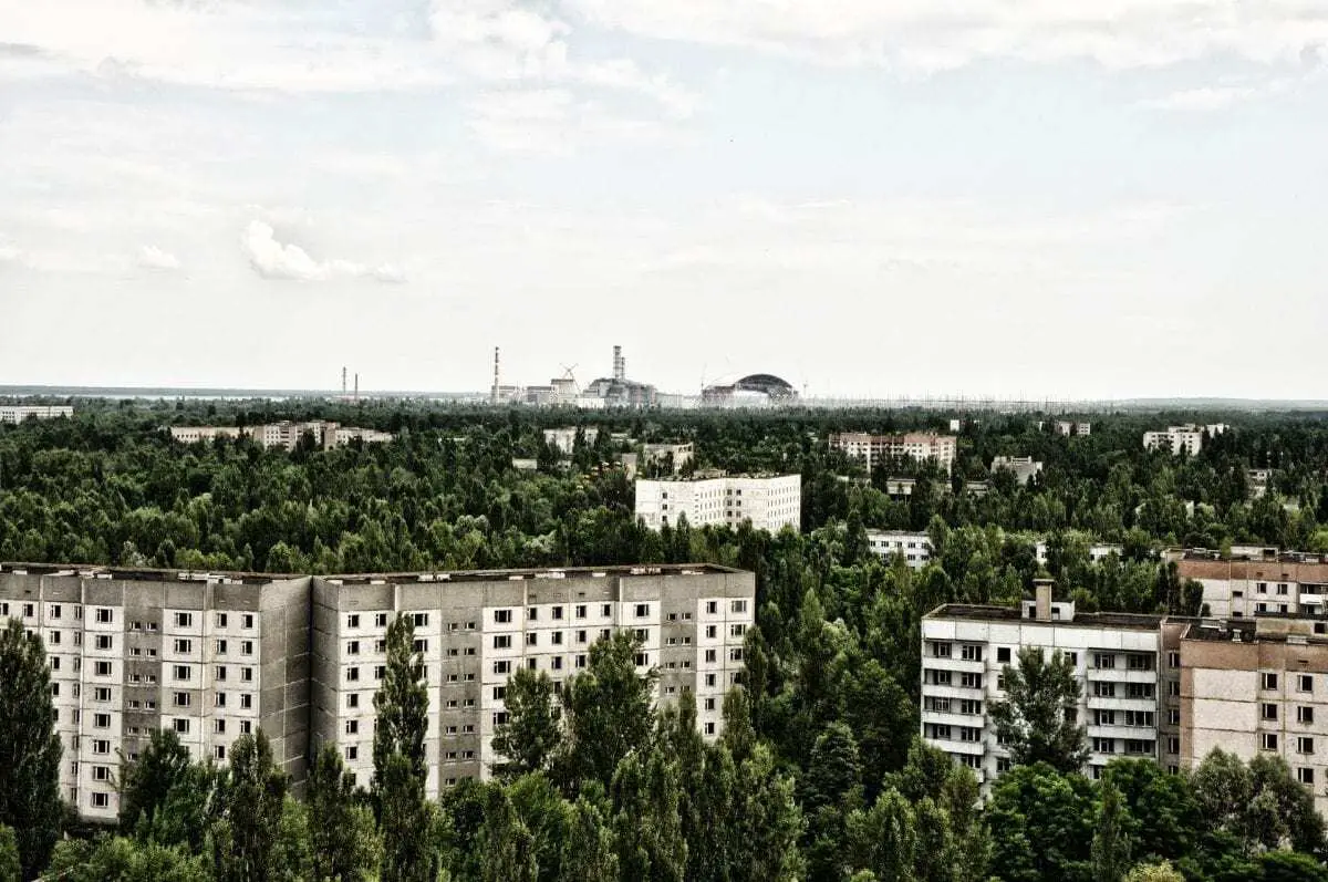 chernobyl has become a refuge for wildlife 33 years after the nuclear accident