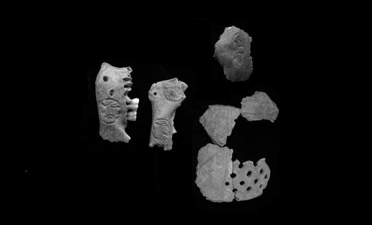 trophies made from human skulls hint at regional conflicts around the time of maya civilization’s mysterious collapse