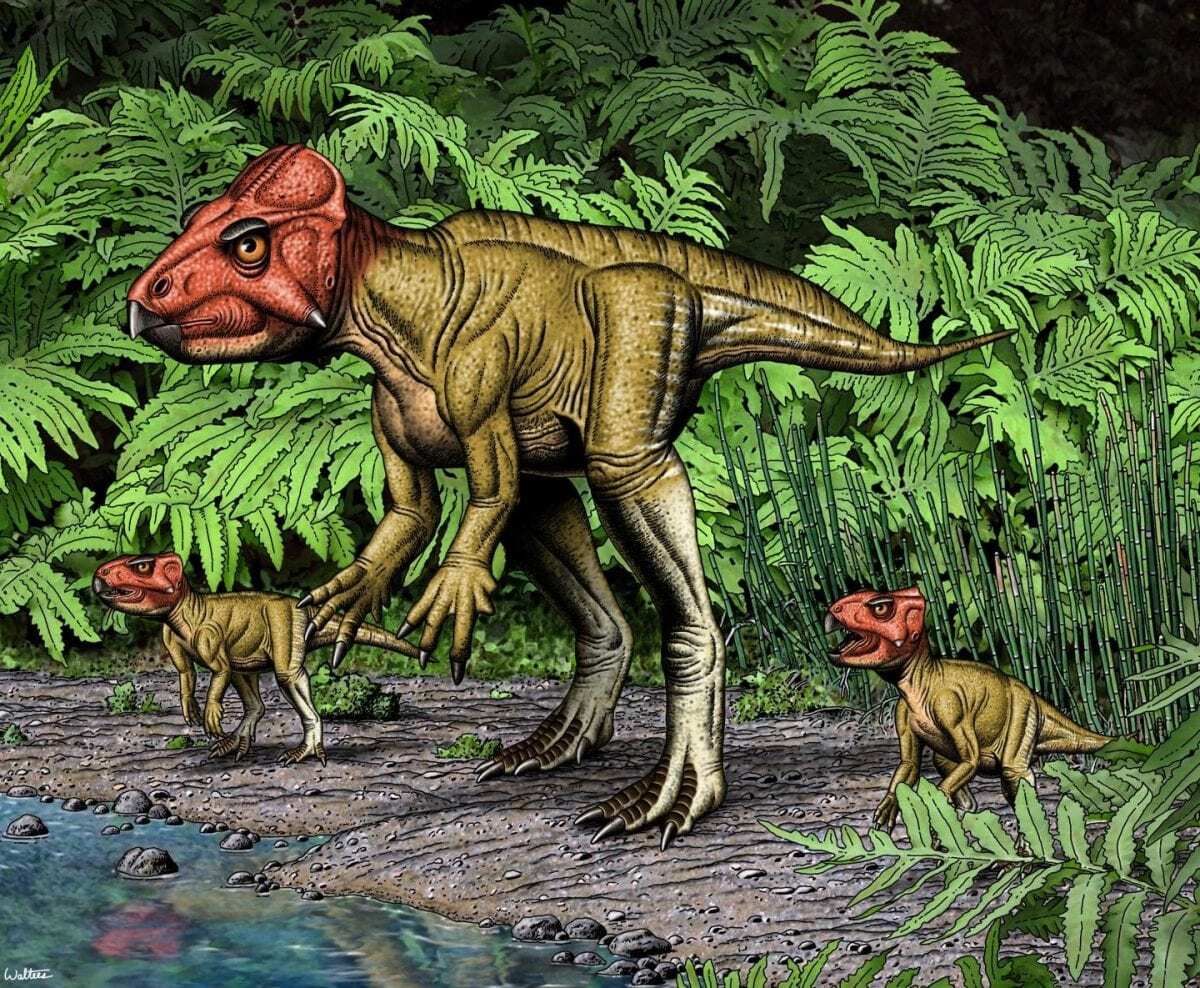 dinosaur with two small horns
