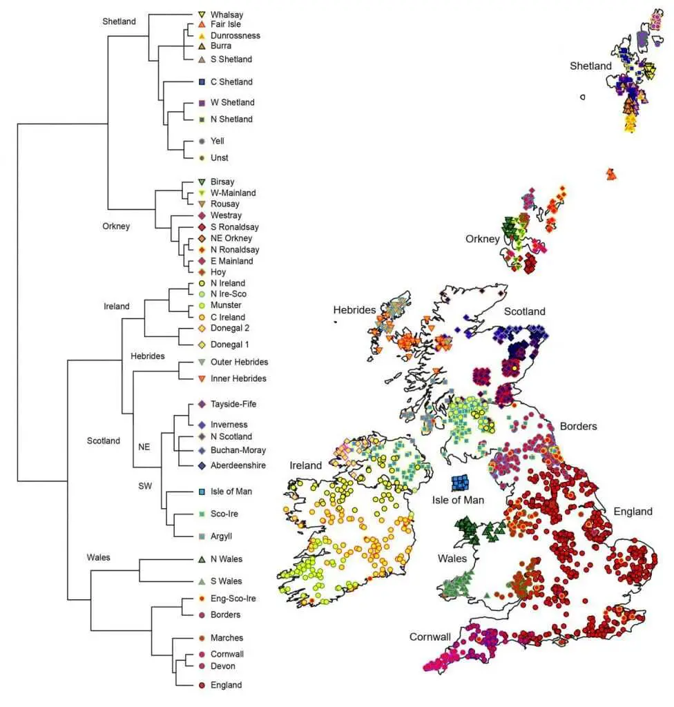 scotland’s genetic landscape echoes dark age populations