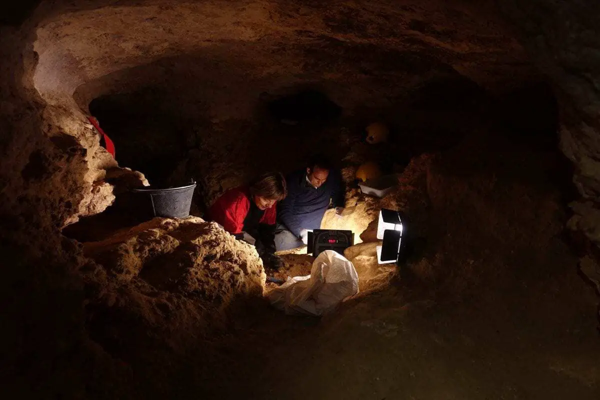 around 35,000 years ago, central iberia had a tundra-steppe landscape