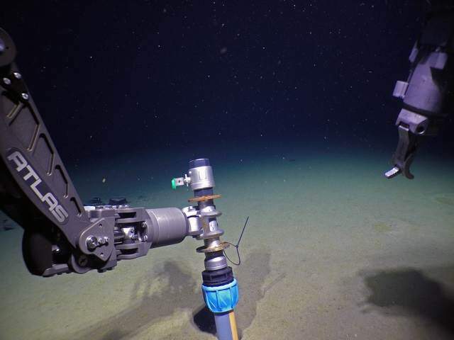 chlamydia-related bacteria discovered deep below the arctic ocean