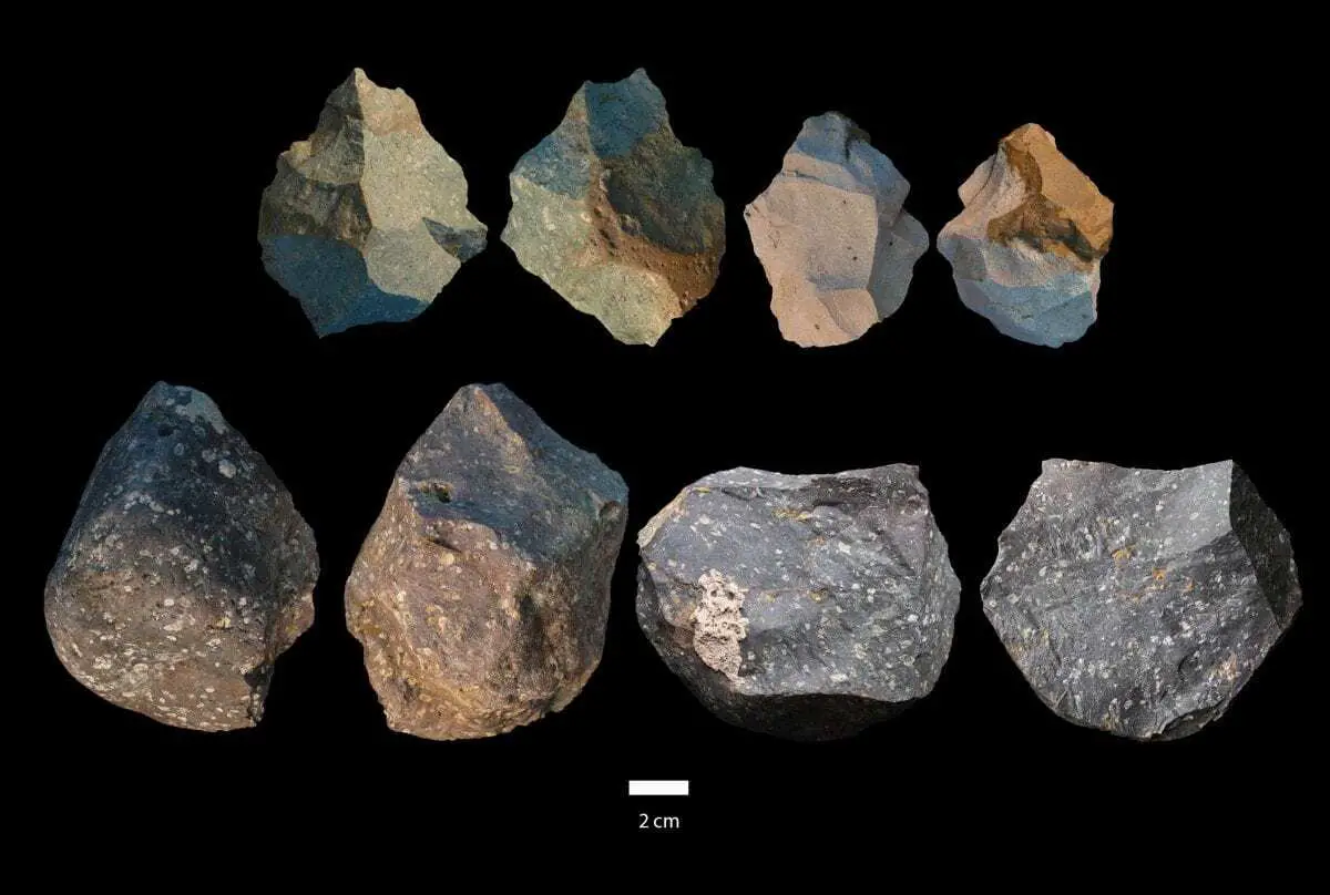 tools used by homo erectus