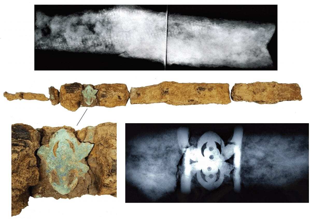 iron age ‘warrior’ burial with sword and spear uncovered in west sussex