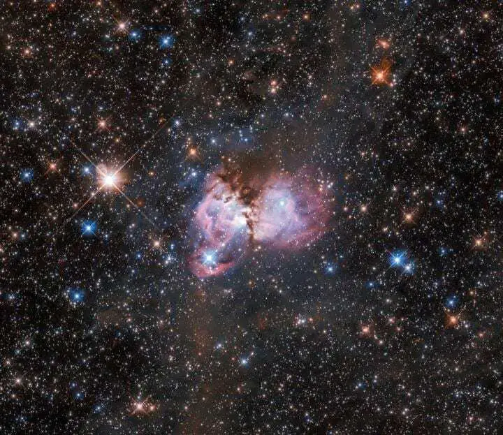 the origin of massive stars