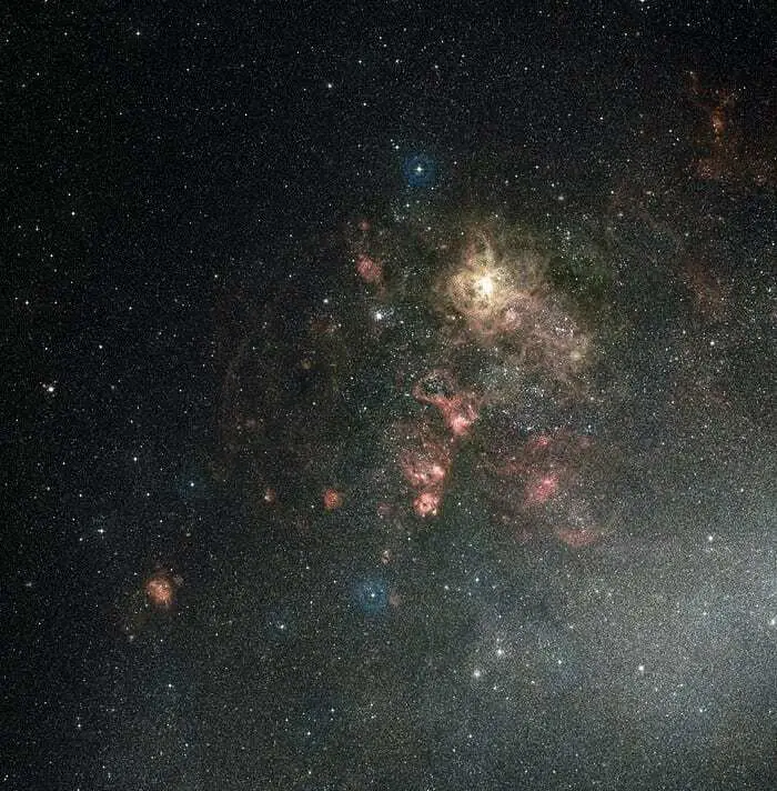 the origin of massive stars