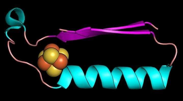 scientists have discovered the origins of the building blocks of life