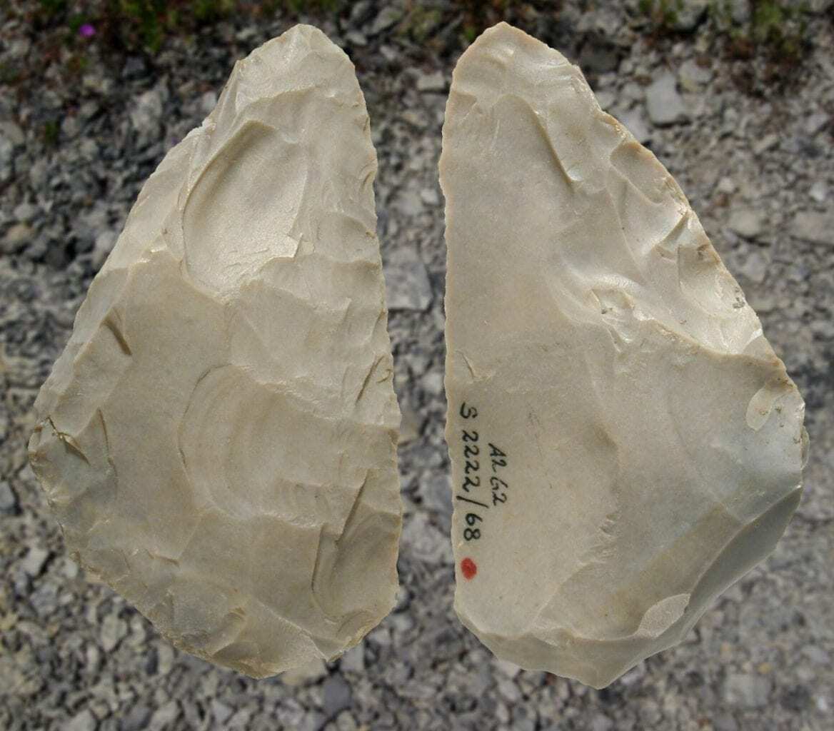 siberian neanderthals originated from various european populations
