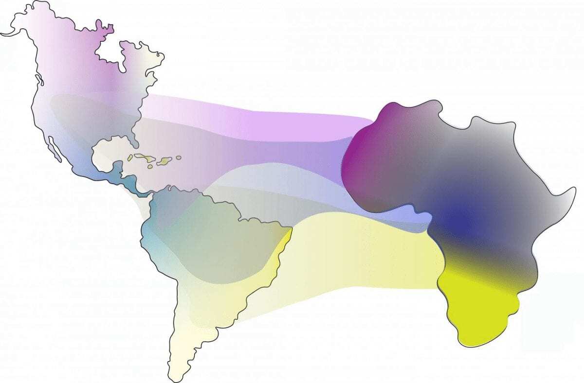 new insights into the transatlantic slave trade on african ancestry in the americas