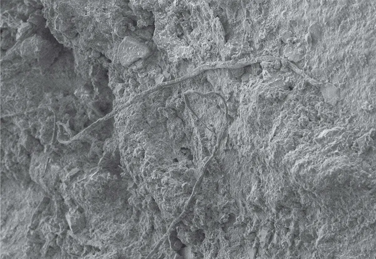 top 10 archaeological discoveries of 2020