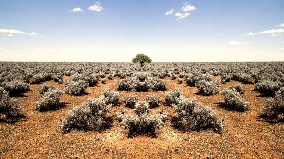 Changes to drylands with future climate change thumbnail