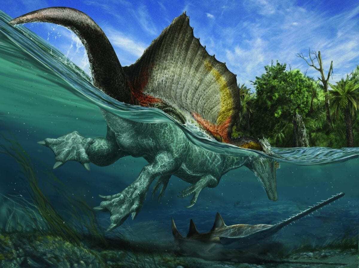 jurassic park in eastern morocco: paleontology of the kem kem group