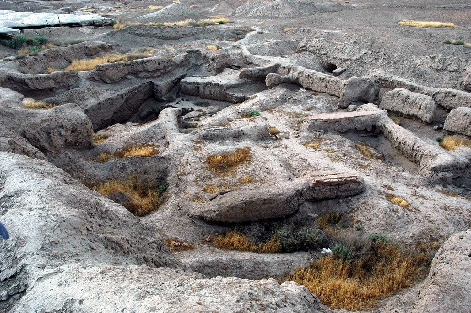 Mari - The Ancient City State