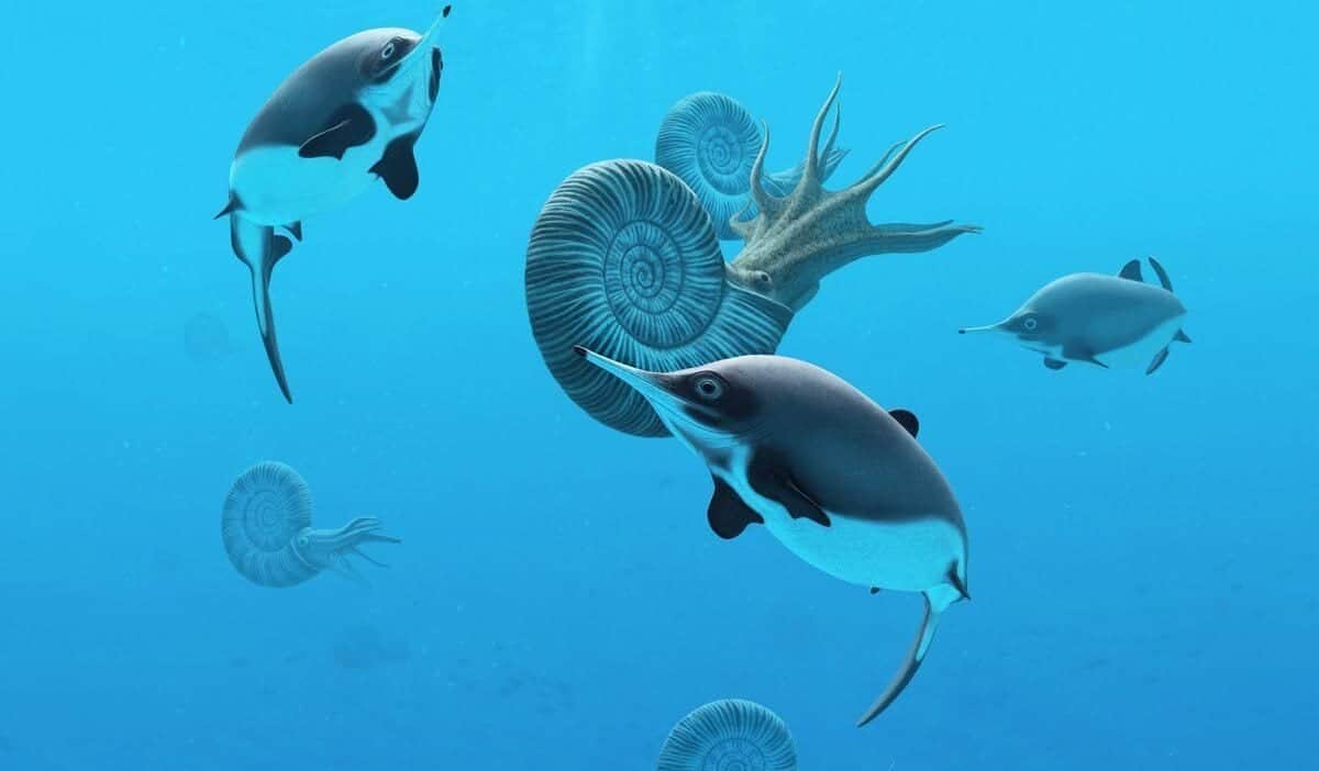 Extinct sea reptile swam in seas from England to Russia to the Arctic according to Baylor University researcher - HeritageDaily - Archaeology News Extinct sea reptile swam in seas from England to Russia to the Arctic according to Baylor University researcher - HeritageDaily - Archaeology News