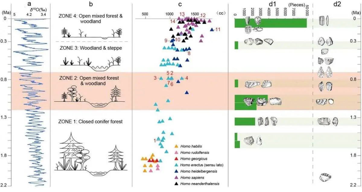 early humans in china innovated technology to adapt to climate change 1-million years ago