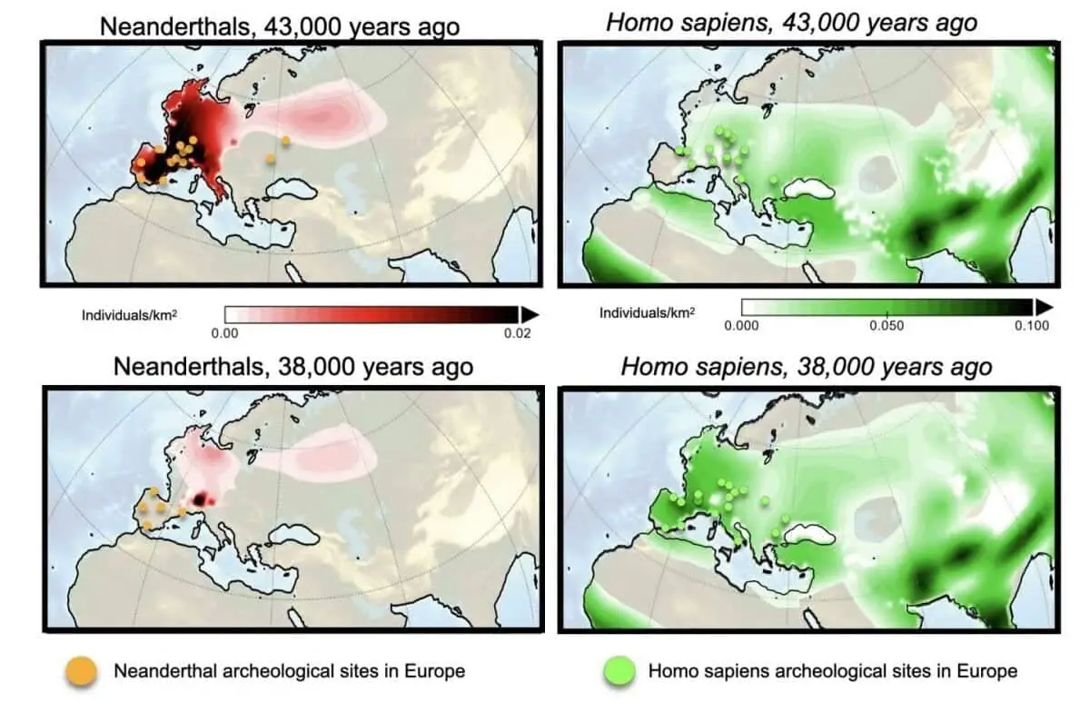 homo sapiens caused neanderthal extinction according to computer models