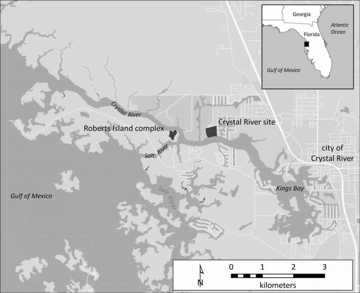 during tough times, ancient ‘tourists’ sought solace in florida oyster feasts