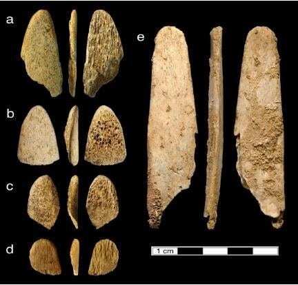 ancient neandertals were picky when choosing animal bone in making tools