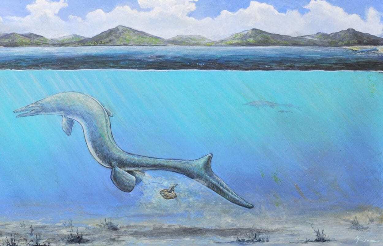 Giant Egg Discovered in Antarctica Belonged to Marine Reptile