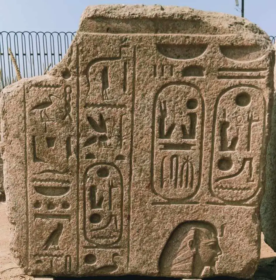 ancient egyptian embossed blocks of ramesses ii discovered