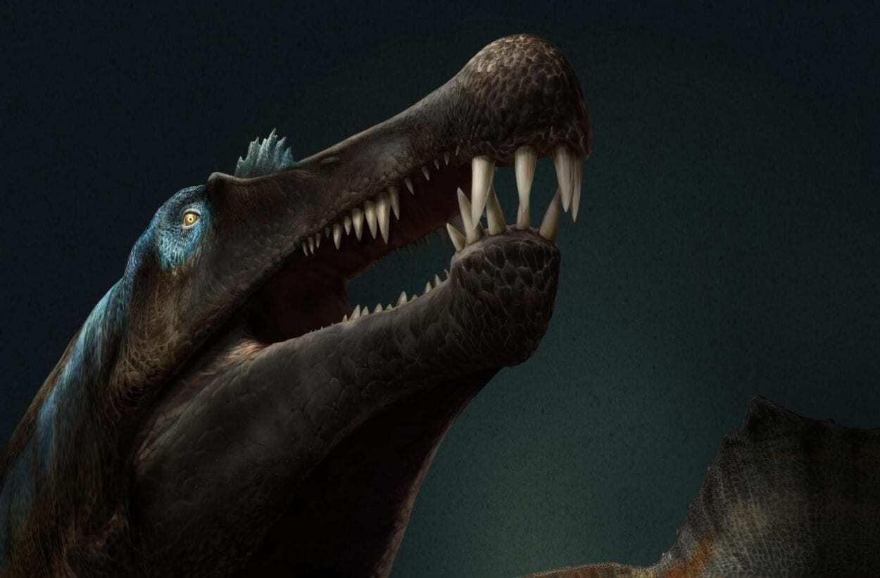 real spinosaurus