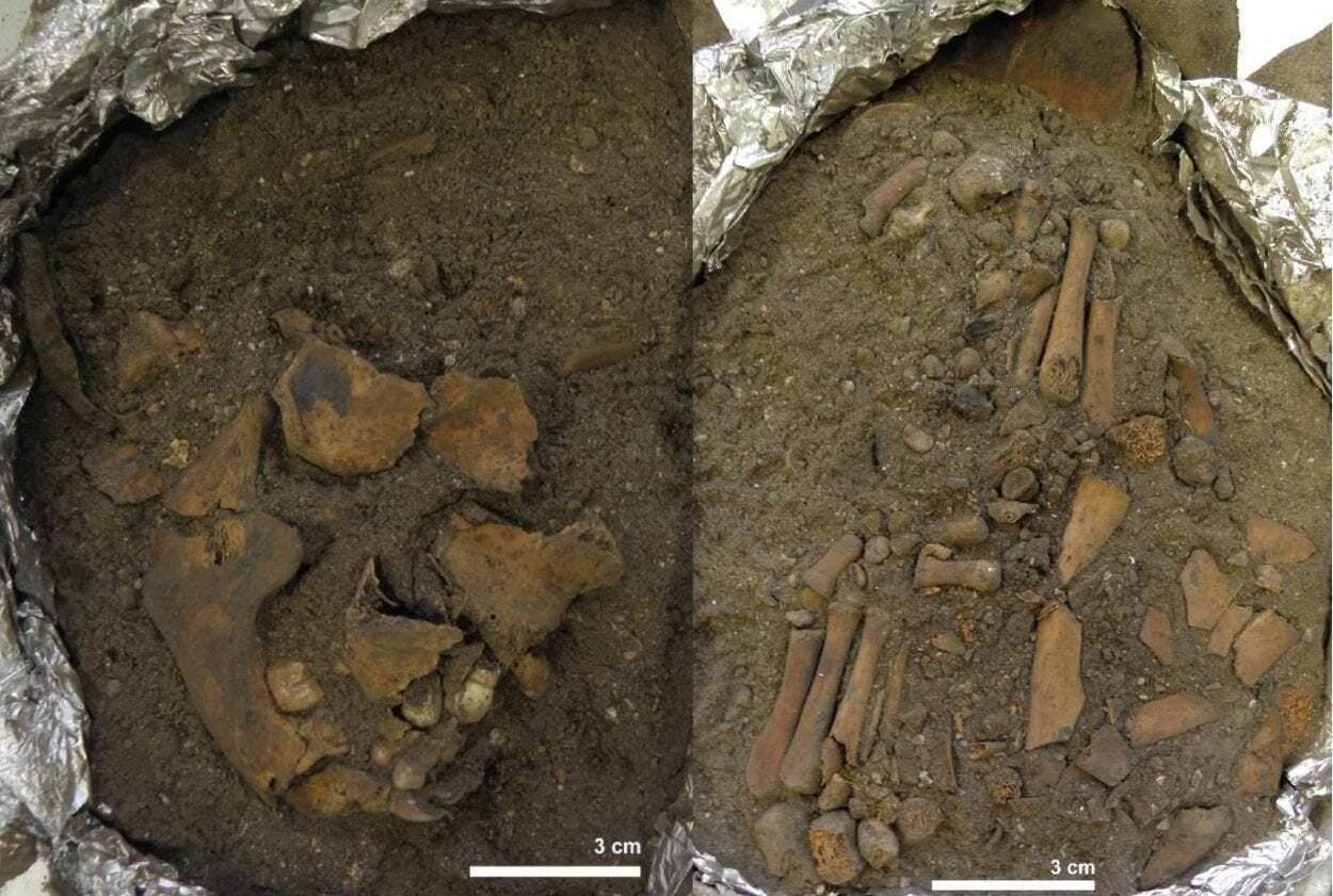 Rare Ancient Child Burial Reveals 8,000-Year-Old Secrets of the Dead - HeritageDaily - Archaeology News