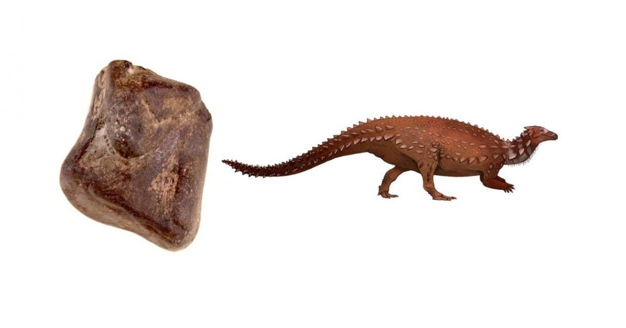 ireland’s only dinosaurs discovered in antrim