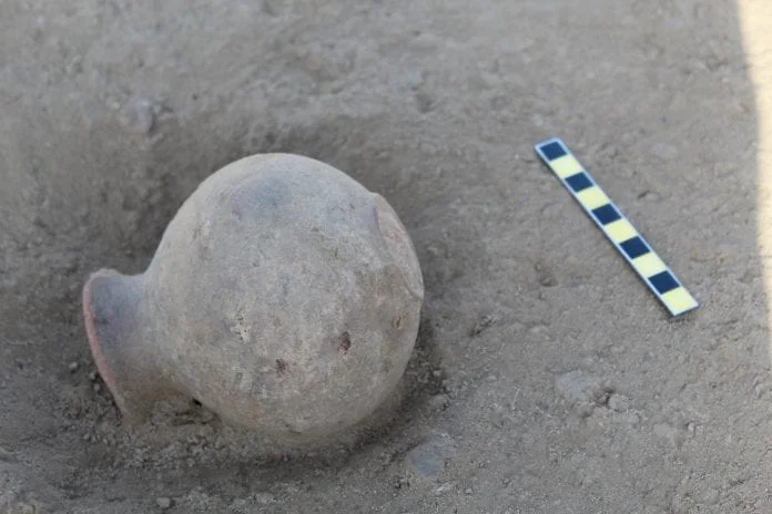 fatty residues on ancient pottery reveal meat-heavy diets of indus civilization