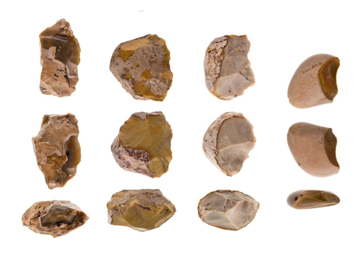 Early Humans Used Chopping Tools to Break Animal Bones & Consume the Bone Marrow Early Humans Used Chopping Tools to Break Animal Bones & Consume the Bone Marrow