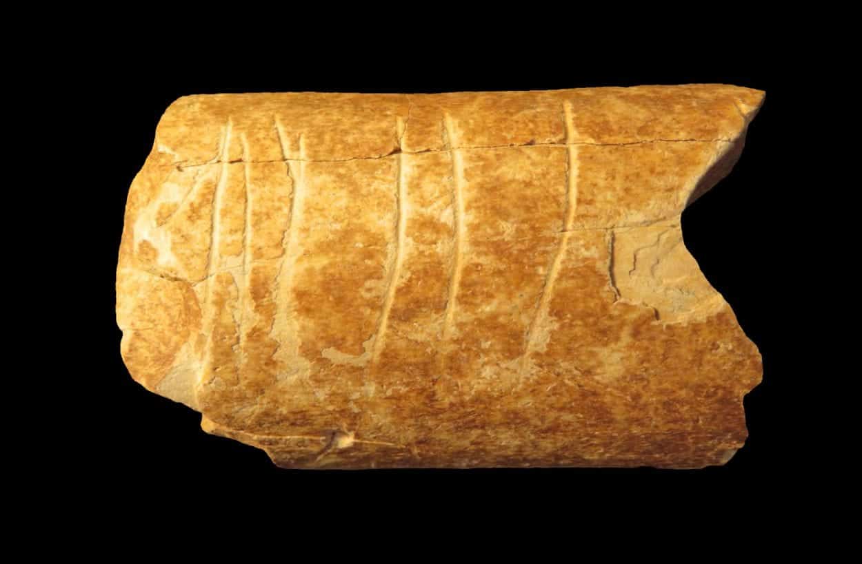 new discovery sheds light on human history of symbols