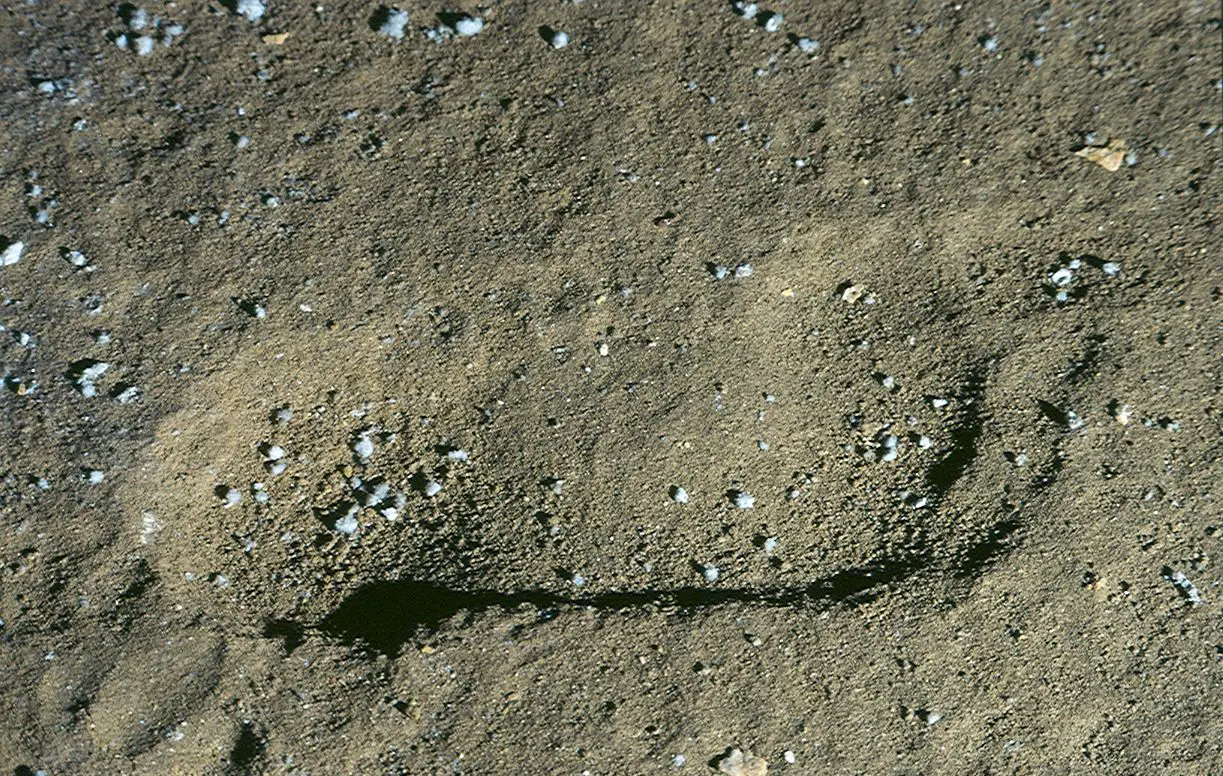 the human footprints of ojo guareña