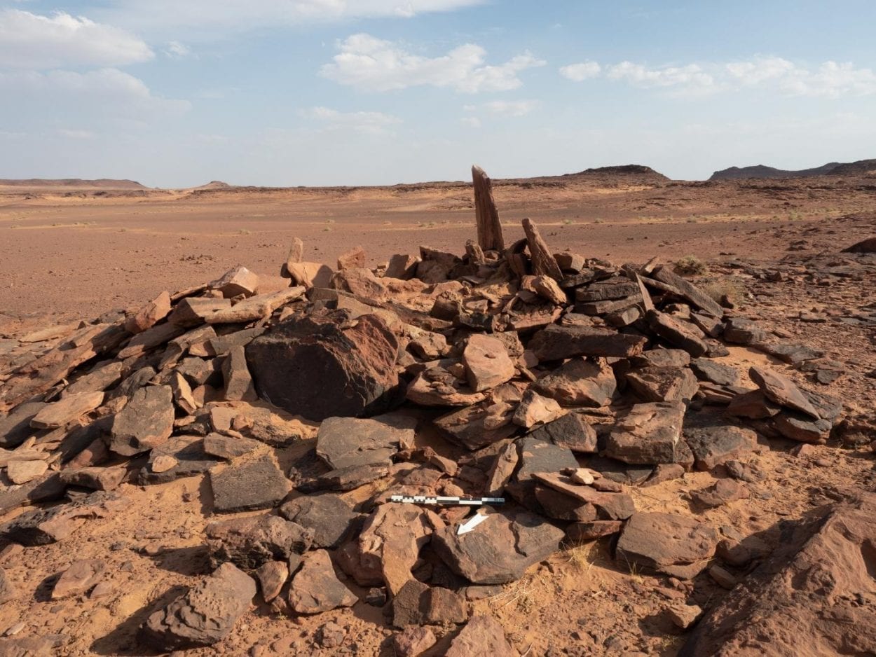 Archaeologists Uncover Earliest Evidence of Domesticated Dogs in Arabian Peninsula - HeritageDaily - Archaeology News