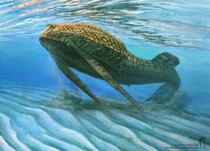 insight into the evolution of bones