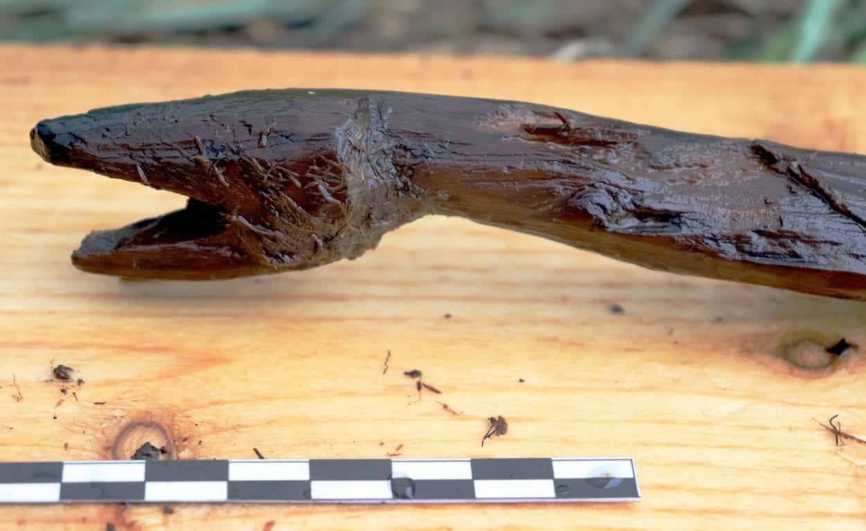 archaeologists discover 4,400-year-old serpent “staff”